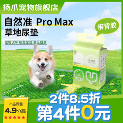 Cocoyo 宠物尿垫草地尿垫加厚吸水除臭狗狗尿垫狗用