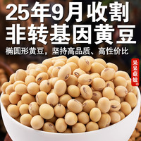 呆呆菇娘 非转基因黄豆 椭圆形笨黄豆 做豆腐煲汤打豆浆专用 100g*3+30g*2