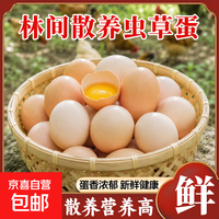 京喜自营-专用品牌 农家散养土鸡蛋林间散养自由觅食新鲜鸡蛋笨鸡蛋单枚40g 土鸡蛋10枚