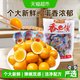 香巴佬 鹌鹑蛋约60枚