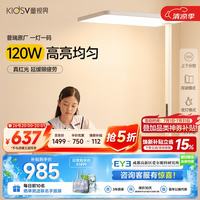 童视界 普瑞红光护眼大路灯 全光谱 120W 落地台灯