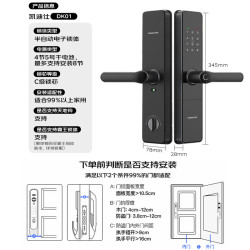 凯迪仕 DK 01 指纹密码智能门锁