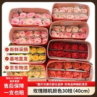京东鲜花 随机色系玫瑰 30枝 40cm (2-3配色)