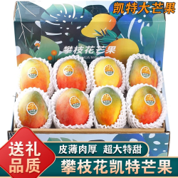 特大果 四川攀枝花 凯特芒果 净重4.25斤 单果600g+