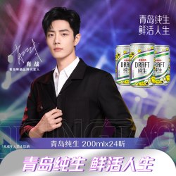 青岛啤酒 纯生迷你罐啤酒 200ml*24听