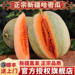 天鲜美逅 新疆吐鲁番 西州蜜25号哈密瓜 2颗 5-6斤/颗 顺丰空运