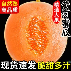 绿念 甘肃民勤黄河蜜瓜甜瓜水果新鲜当季整箱沙漠黄金哈密瓜脆官方旗舰