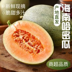 福瑞达 山东潍坊 玲珑蜜瓜 3斤 尝鲜装