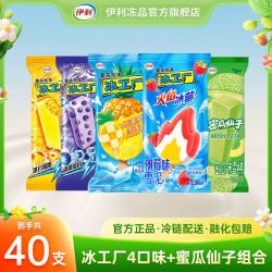 伊利 雪糕冰工厂棒冰炫菠萝蓝莓蜜桃火焰树莓蜜瓜仙冰淇淋