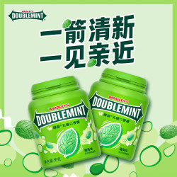 绿箭 原味薄荷味无糖口香糖56g*5瓶