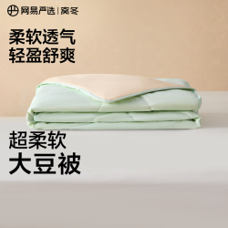 网易严选 A类大豆纤维被宿舍夏季床上用品夏被四季被空调被 云杉绿-夏被 200*230cm（适合1.5m/1.8m床)