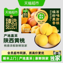 孙悟空 陕西黄桃 4斤 150g+