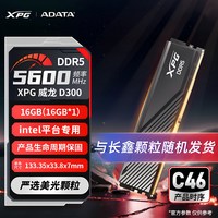 威刚 XPG威龙D500 DDR5 6000C28台式机电脑马甲内存条16G/32G/64G