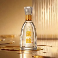 今世缘 淡雅国缘 42度 浓香型白酒 250ml*1瓶