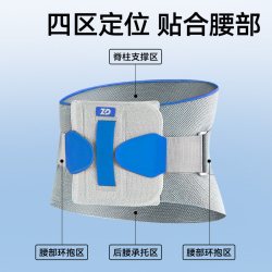 ZHENDE ×云南白药泰邦护腰带腰间盘突出腰肌劳损腰围
