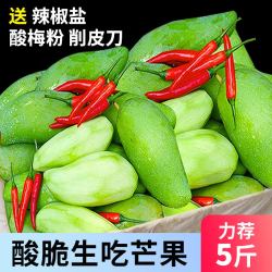 津果 鲜 广西象牙芒果 5斤 精选生芒果（收藏送削皮刀+辣椒盐+酸梅粉）