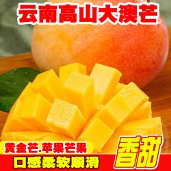 滇老头 正宗云南黄金澳芒果苹果芒新鲜攀枝凯凯特热带水果整箱树上成熟甜