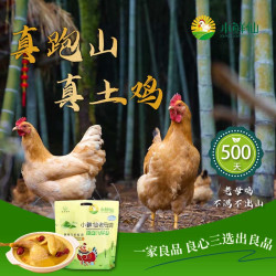 小鲜仙 安徽散养老母鸡 1000g 袋装