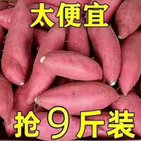 移动端：二么鲜 ErmaXian 二么鲜 河南 黄心番薯 4.5斤