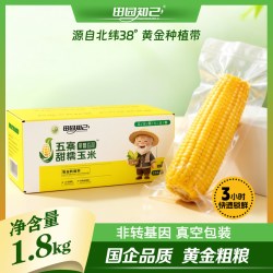 田园知己 山西忻州黄糯玉米 1.8kg箱装