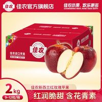 佳农 新西兰红玫瑰苹果 4斤装