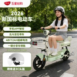 五星钻豹 A40 电动车 货号A40 电池容量12ah