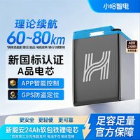 小哈 G48V24A新能安24Ah软包磷酸铁锂电芯新国标电动电瓶车锂电池