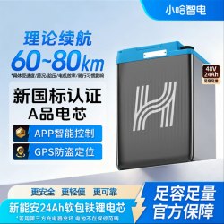 小哈 G48V24A新能安24Ah软包磷酸铁锂电芯新国标电动电瓶车锂电池