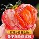 京喜 现摘山东普罗旺斯沙瓤口感西红柿生吃水果番茄 5斤普罗旺斯西红柿 中大果（单果125g+）西红柿