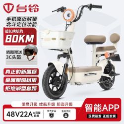 台铃 新新国标电动自行车可上牌48v22a电动车女智能轻便成人代步车