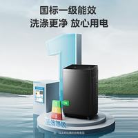 美的 波轮洗衣机全自动家用10公斤 1.268至高洗净比 除菌螨 MB10V56T