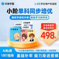 洋葱学园 vip小阶洋葱数学思维训练语文英语同步培优暑假衔接领跑