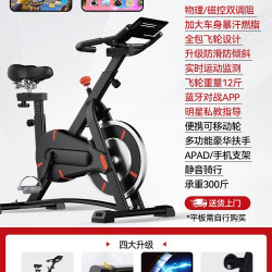 OES 动感单车 OES-909 家用静音健身器材