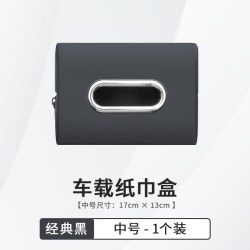 JPHF 210 车载纸巾盒 中号 挂式