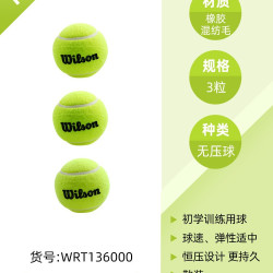 威尔胜 训练用球 WRT131100 1360*3颗 散装