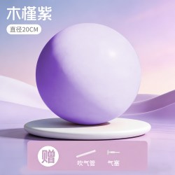 Ma fitness 瑜伽球 PLT111 力量辅助训练球 20CM