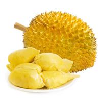 静益乐源 泰国进口金枕头榴莲 5-6斤(1-2个果)