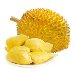静益乐源 泰国进口金枕头榴莲 5-6斤（1-2个果）