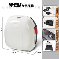 万仕龙 WSL-JNXMTC 电动车尾箱 九代-奶白色+支架