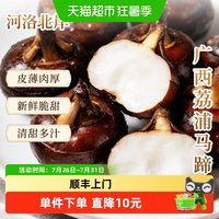 河洛北岸广西荔浦马蹄5斤新鲜荸荠地梨 地栗 大果水果脆甜多汁