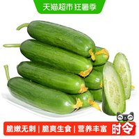 88VIP：瓜憨憨 新鲜水果黄瓜脆爽生食营养丰富脆嫩可口健康