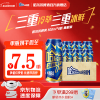 哈尔滨弘耀 哈尔滨啤酒冰极纯生0糖啤酒 宅家聚会 京东物流 500ml*6听 尝鲜装