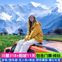 成都出发拉萨西藏318川藏线稻城波密林芝11天自驾拼包车跟团旅游