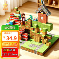 乖明星 我的世界磁力方块儿童玩具 3-6-10岁 20片