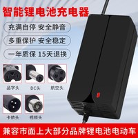 琳茵 锂电池充电器54.6V48V3A4A5A2A10A滑板车独轮车哈雷电动车改装车