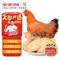 温氏 供港黄油鸡 1kg