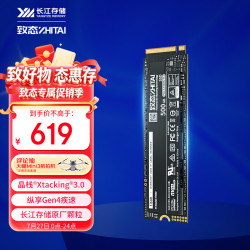 致态 Ti600 PCIe 4.0 固态硬盘 500GB