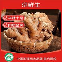 京鲜生 云南小黄姜 净重5斤 生姜 老姜 单果50g+ 源头直发 5斤