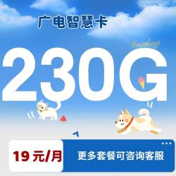 中国广电 智慧卡19元200G全国流量不限速