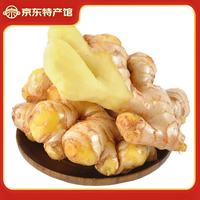 静益乐源 新鲜云南小黄姜  9斤装